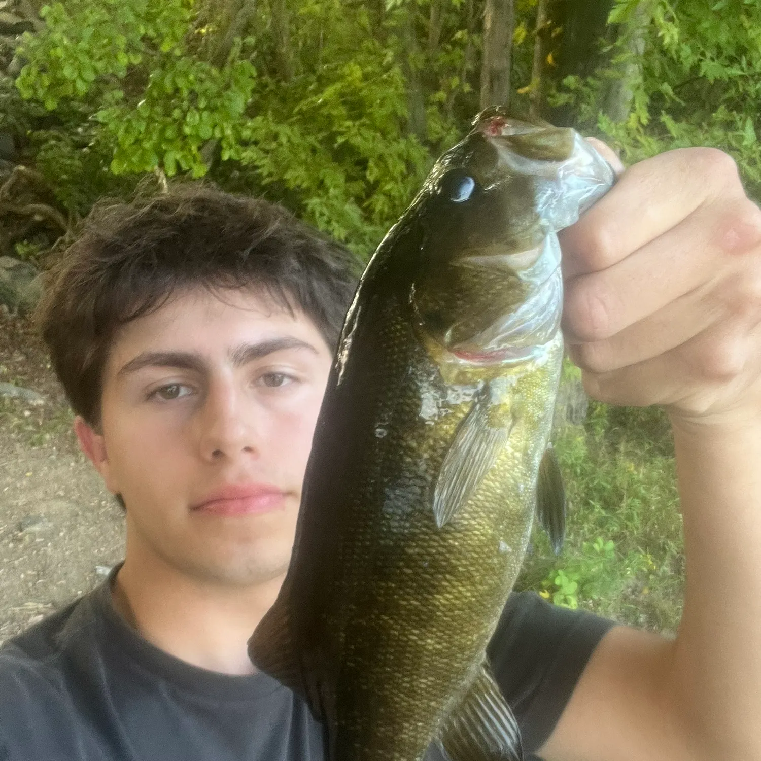 Smallmouth bass caught on Fishbrain