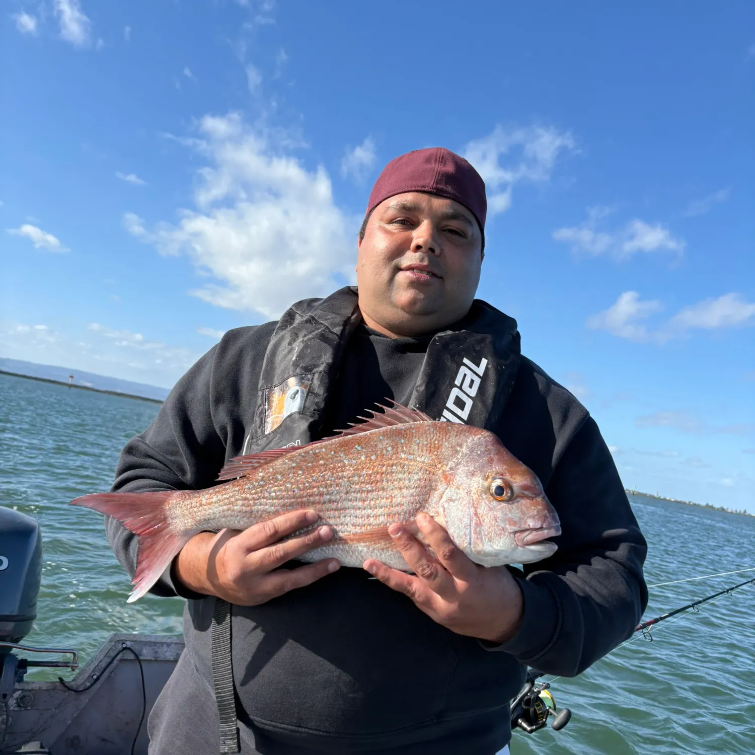The most recent Australasian snapper catches on Fishbrain