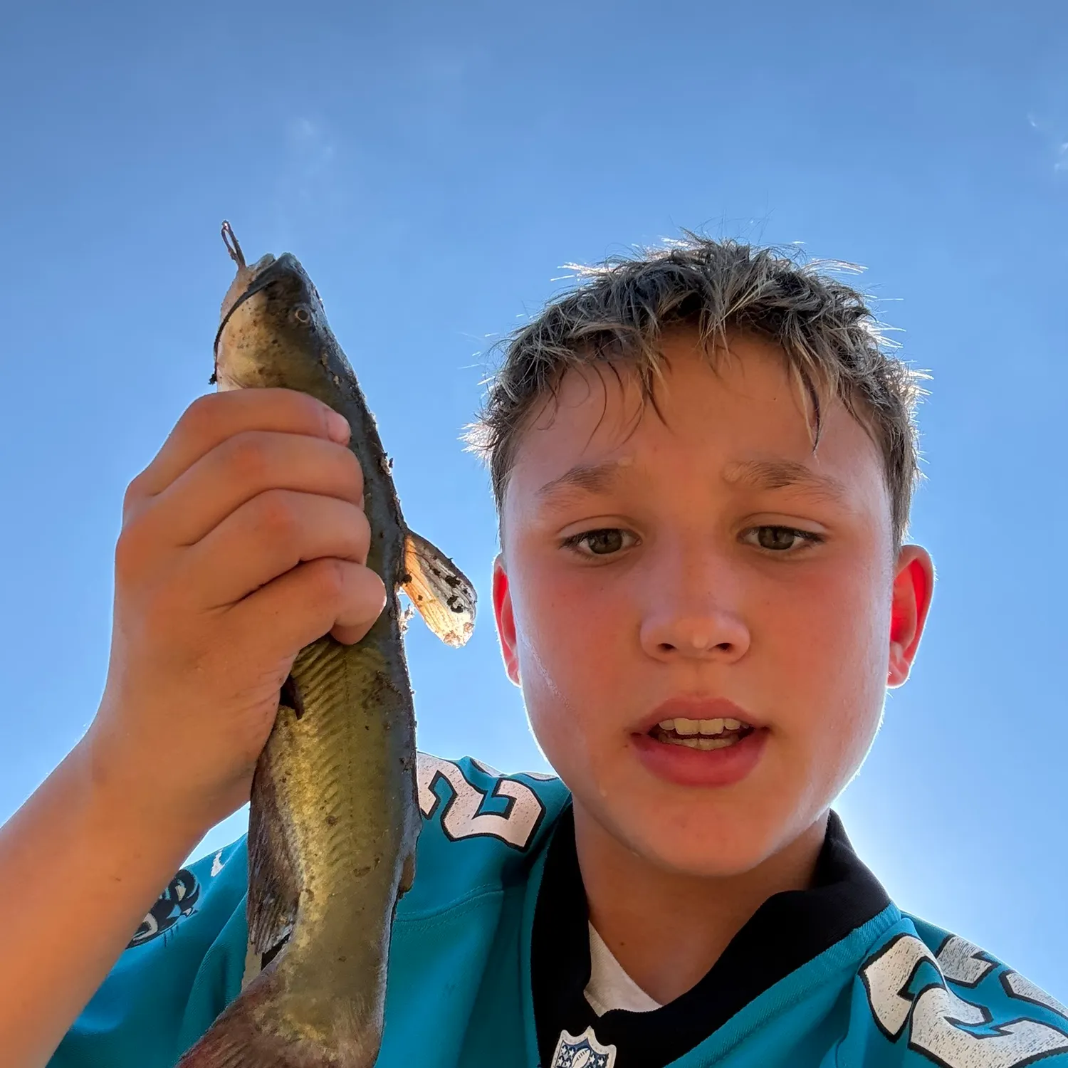 Black bullhead caught on Fishbrain