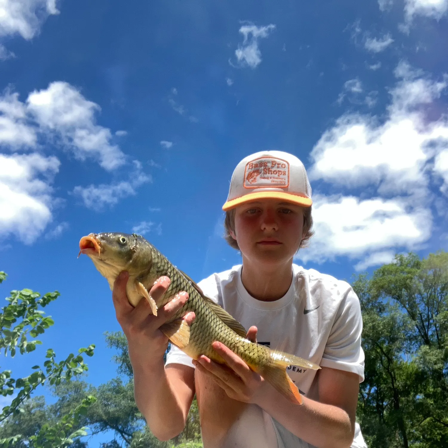 The most recent Common carp catches on Fishbrain