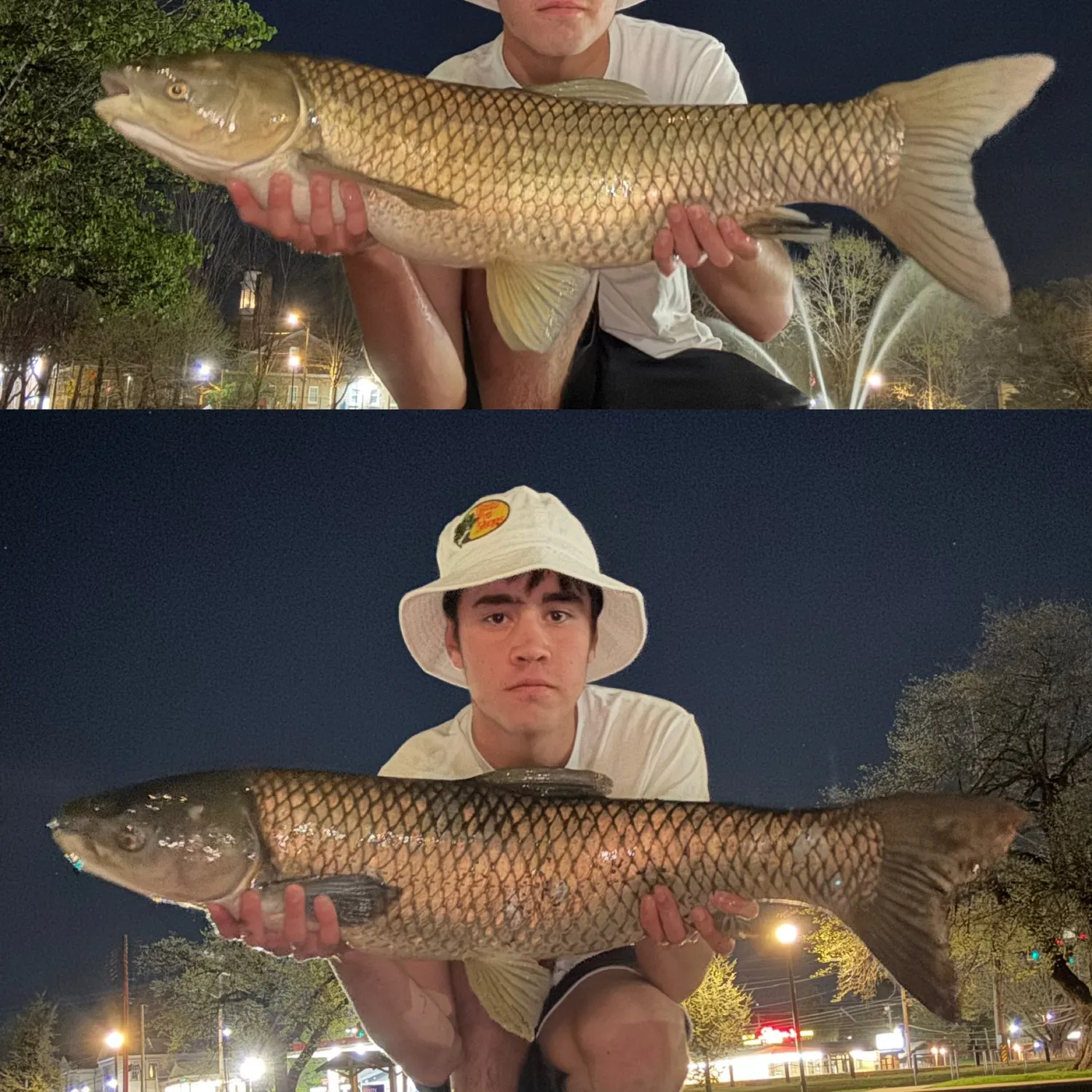 recently logged catches