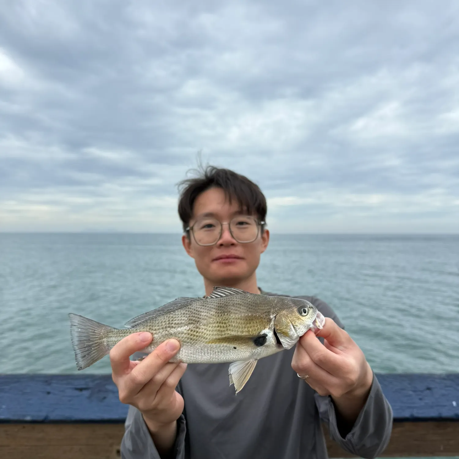 Spotfin croaker caught on Fishbrain