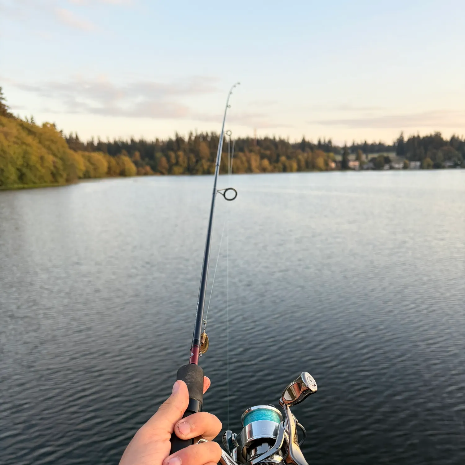 Rainbow trout caught on Fishbrain
