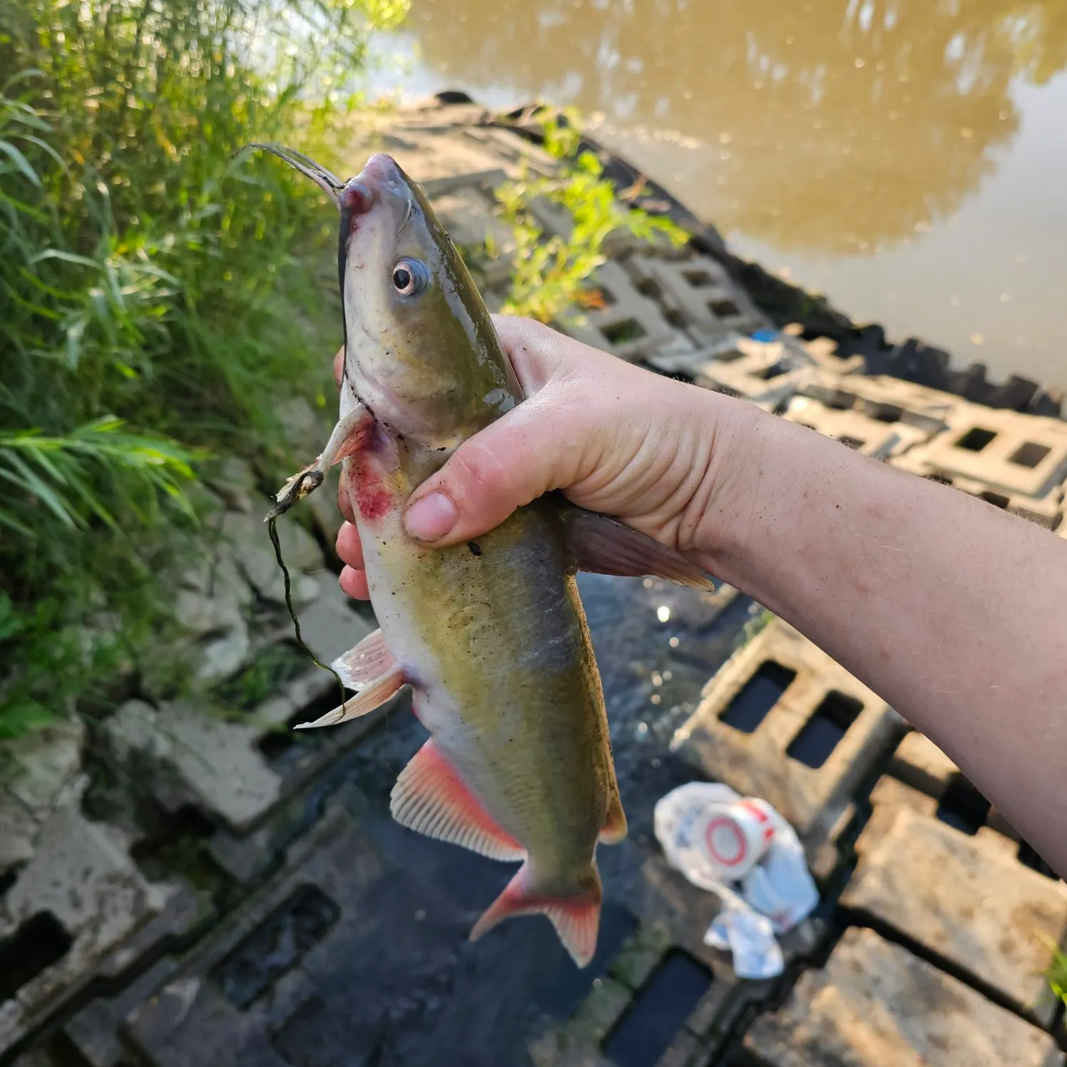 catch