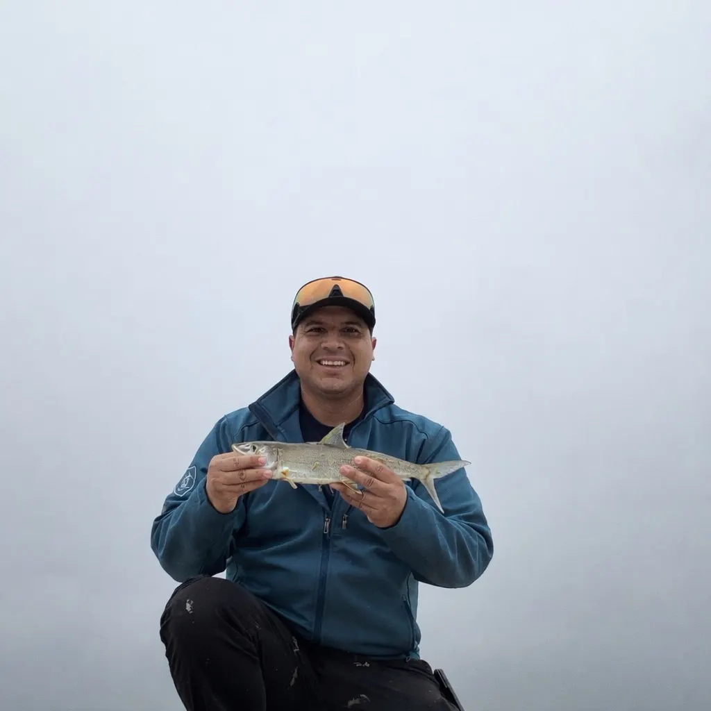 The most recent West Atlantic bonefish catches on Fishbrain