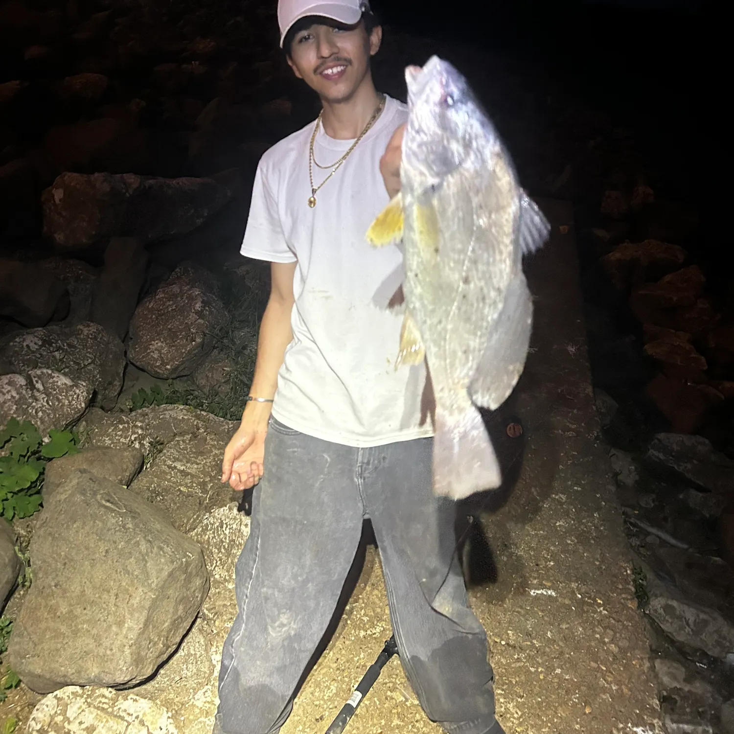 Freshwater drum caught on Fishbrain