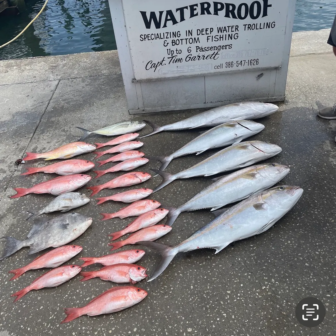 recently logged catches