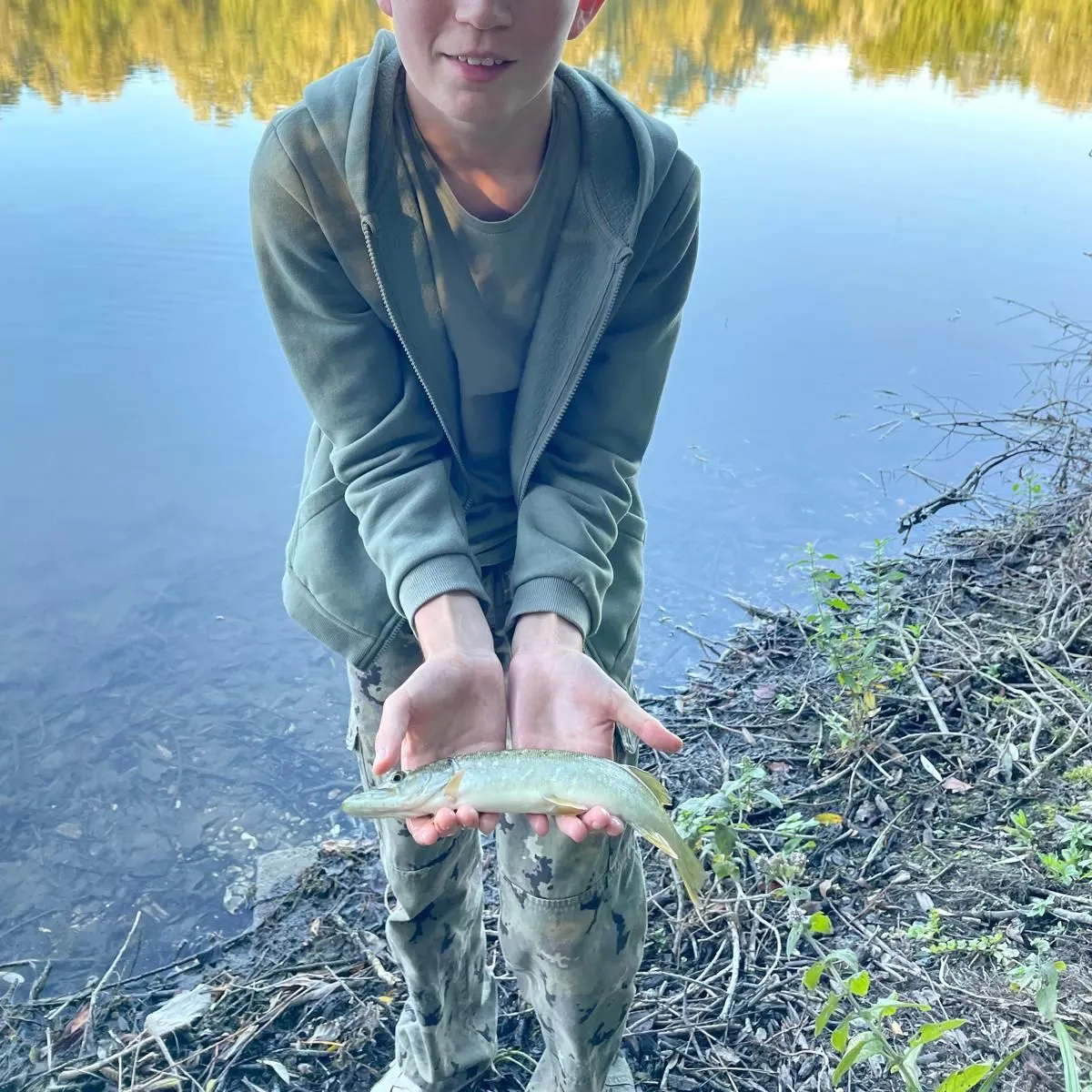 Northern pike caught on Fishbrain