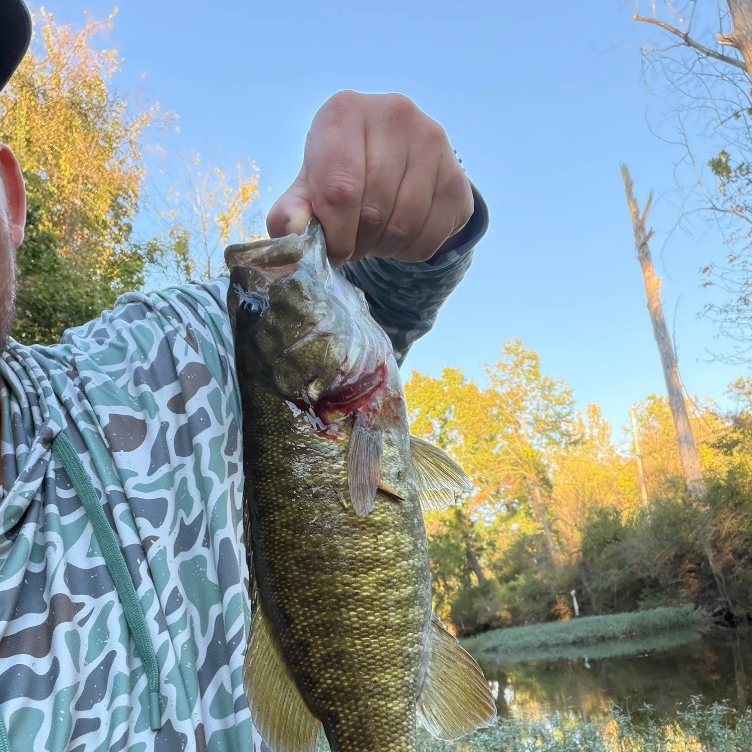 Smallmouth bass caught on Fishbrain
