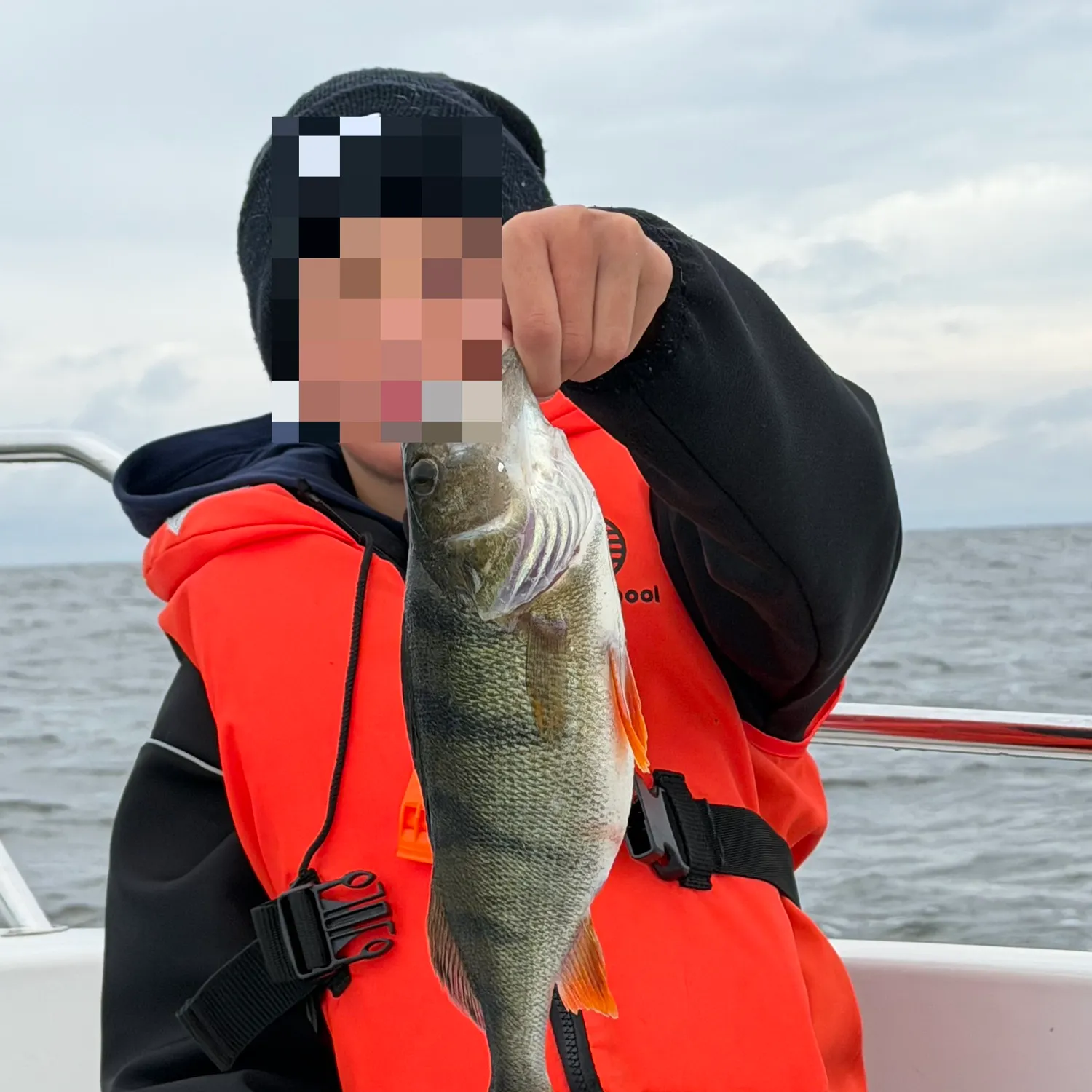 European perch caught on Fishbrain