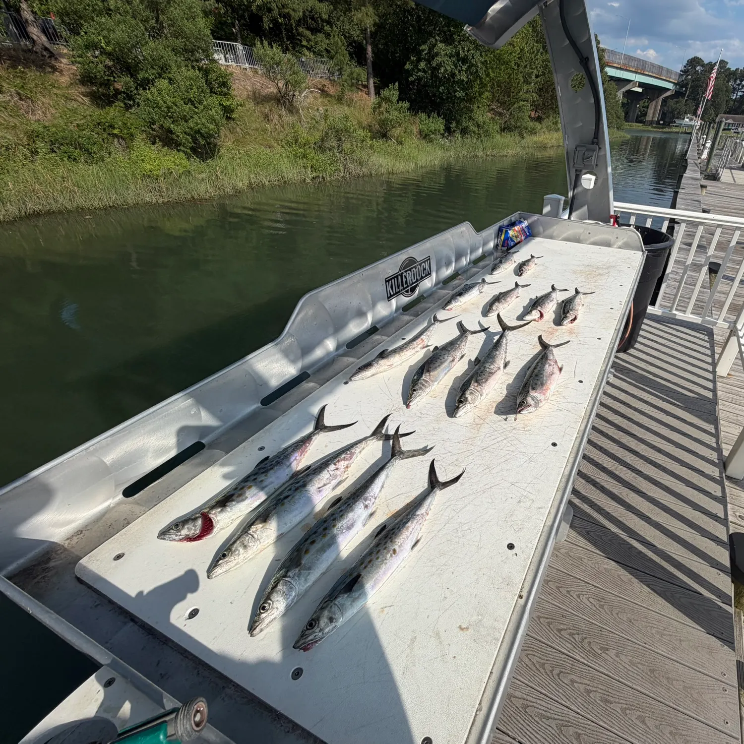 recently logged catches