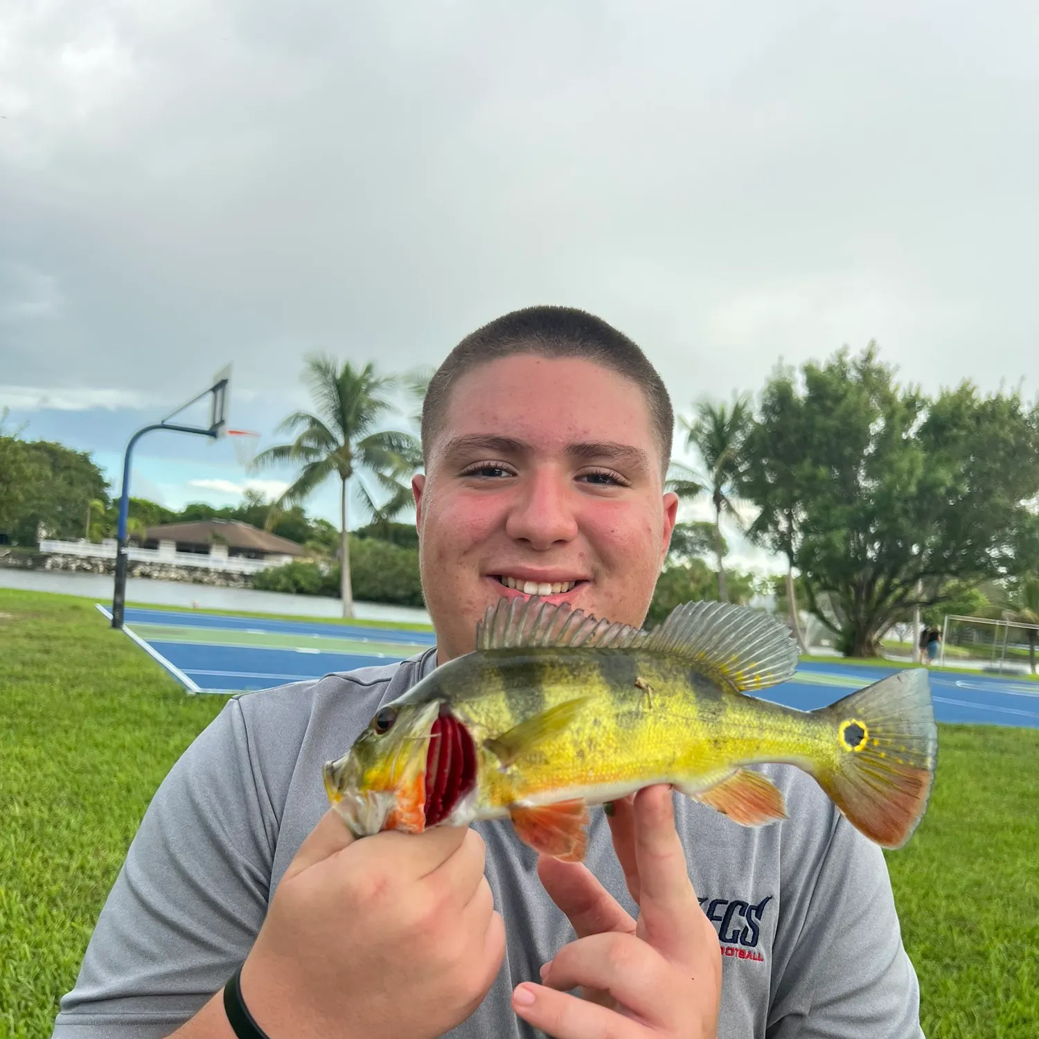 The most recent Butterfly peacock bass catches on Fishbrain