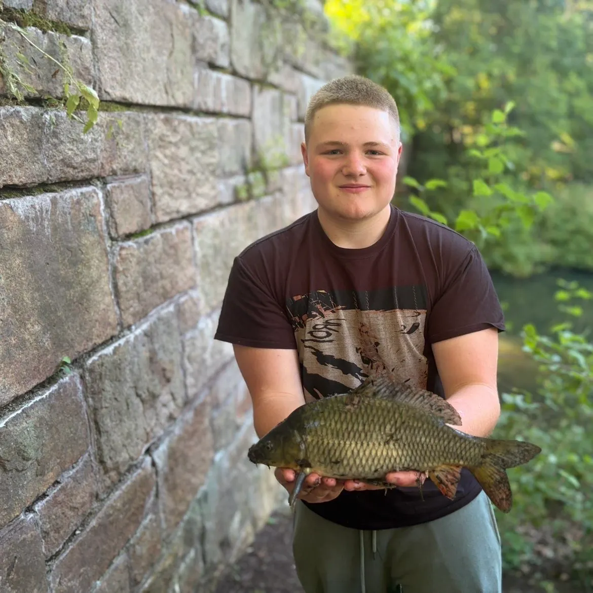 Common carp caught on Fishbrain