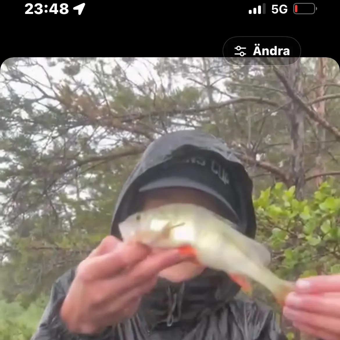 recently logged catches