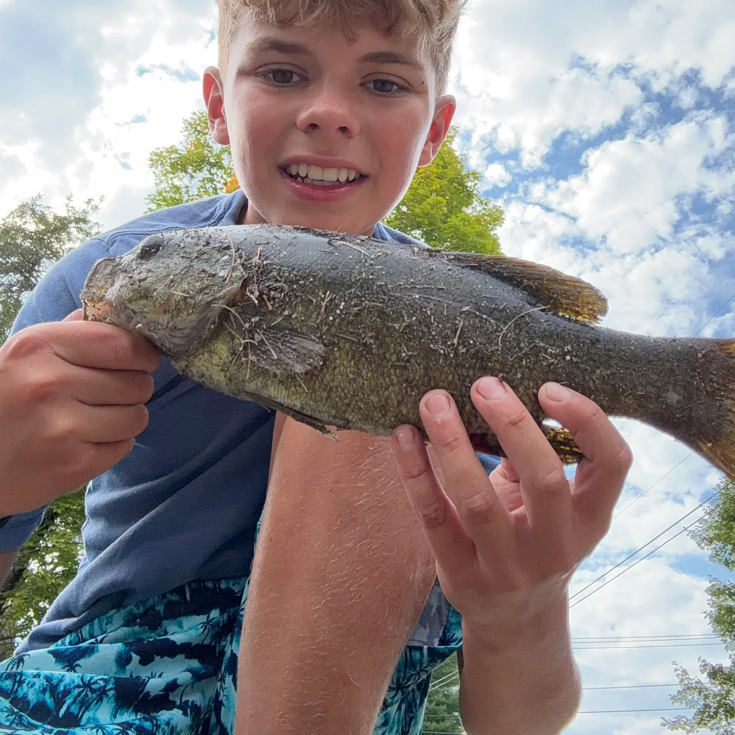 Smallmouth bass caught on Fishbrain
