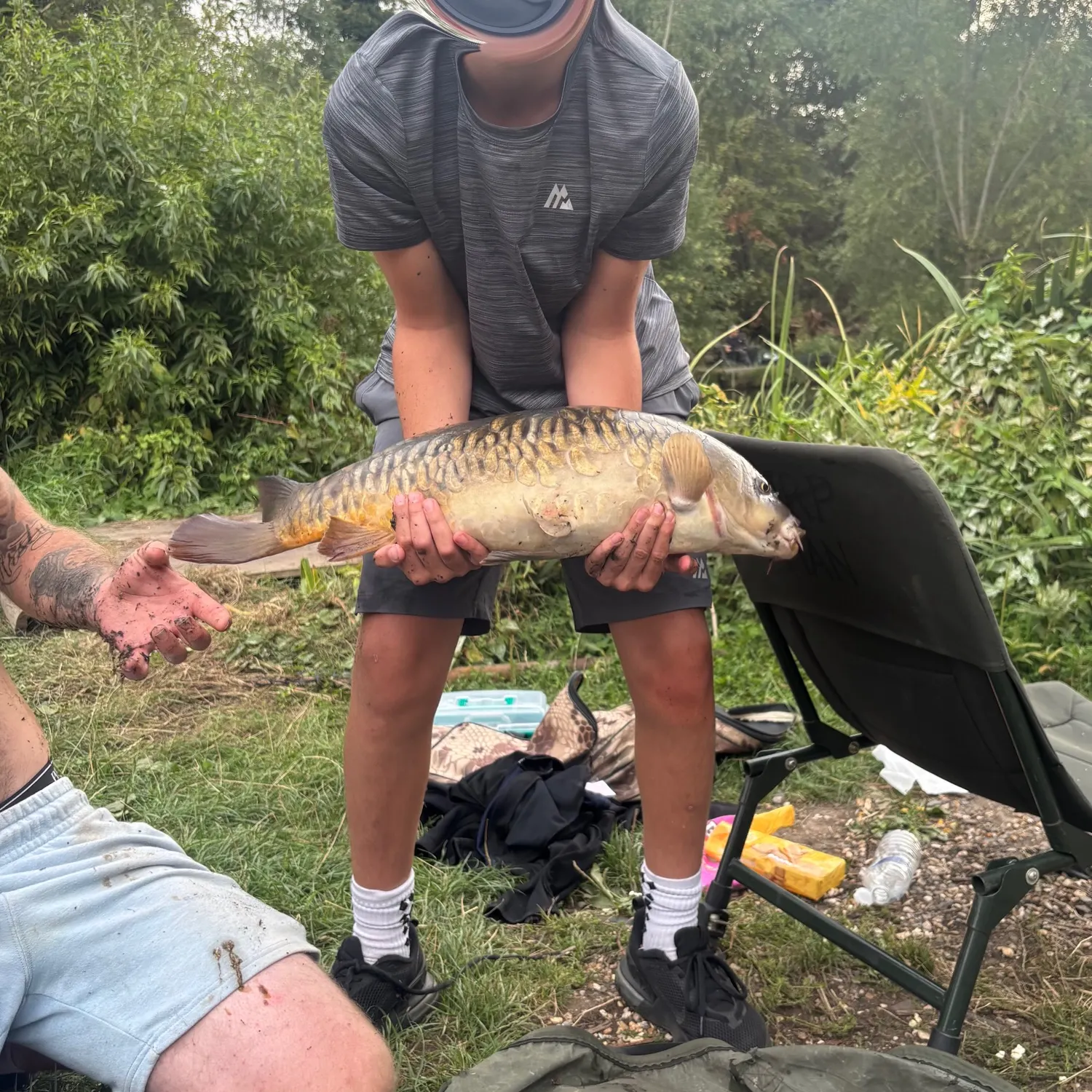 Mirror carp caught on Fishbrain