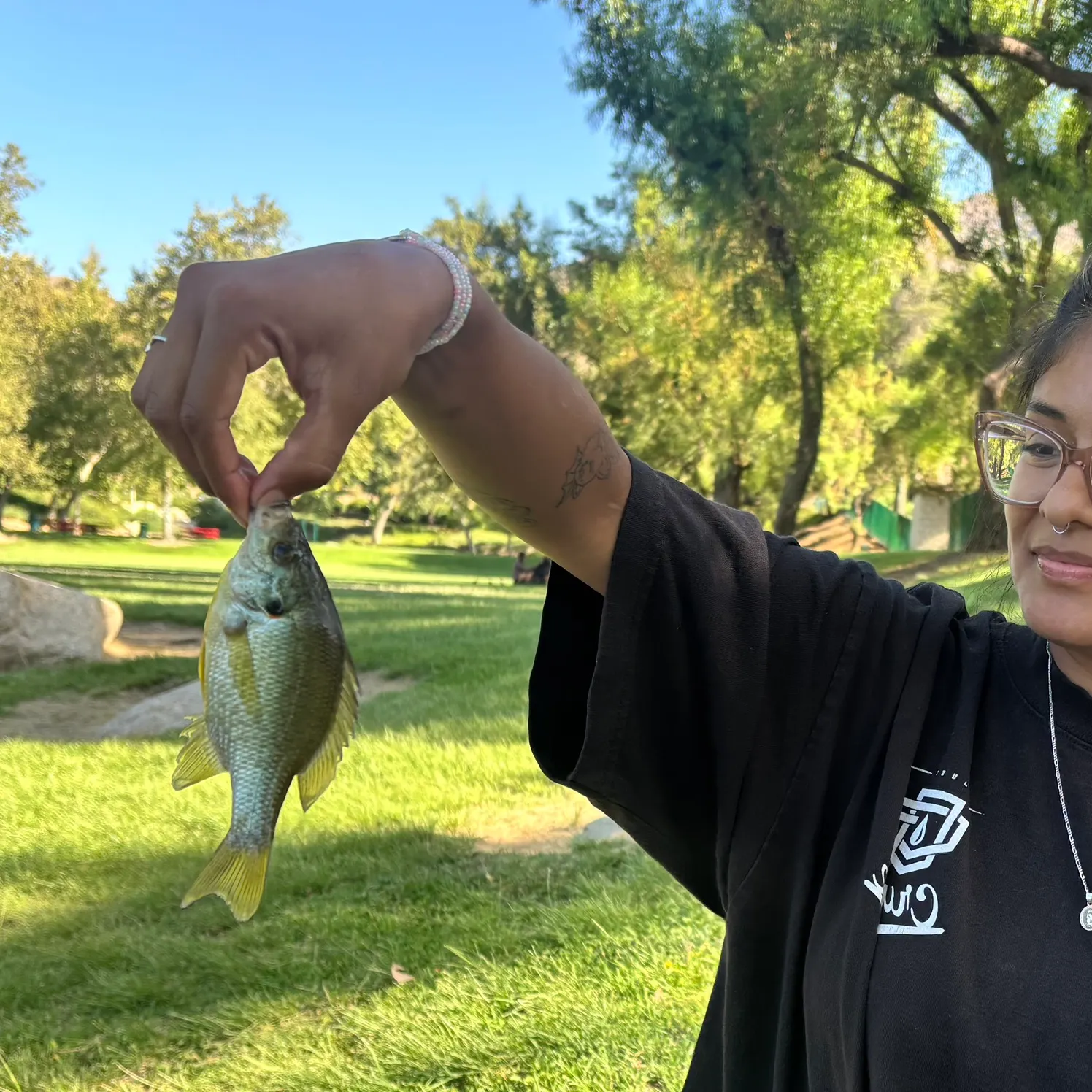 The most recent Redear x bluegill catches on Fishbrain