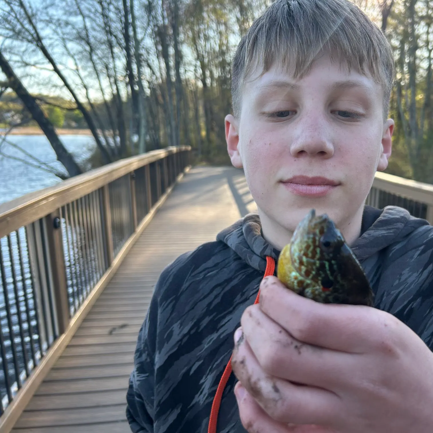 The most recent Pumpkingill hybrid catches on Fishbrain