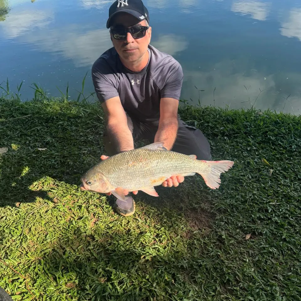 The most recent Matrichan catches on Fishbrain