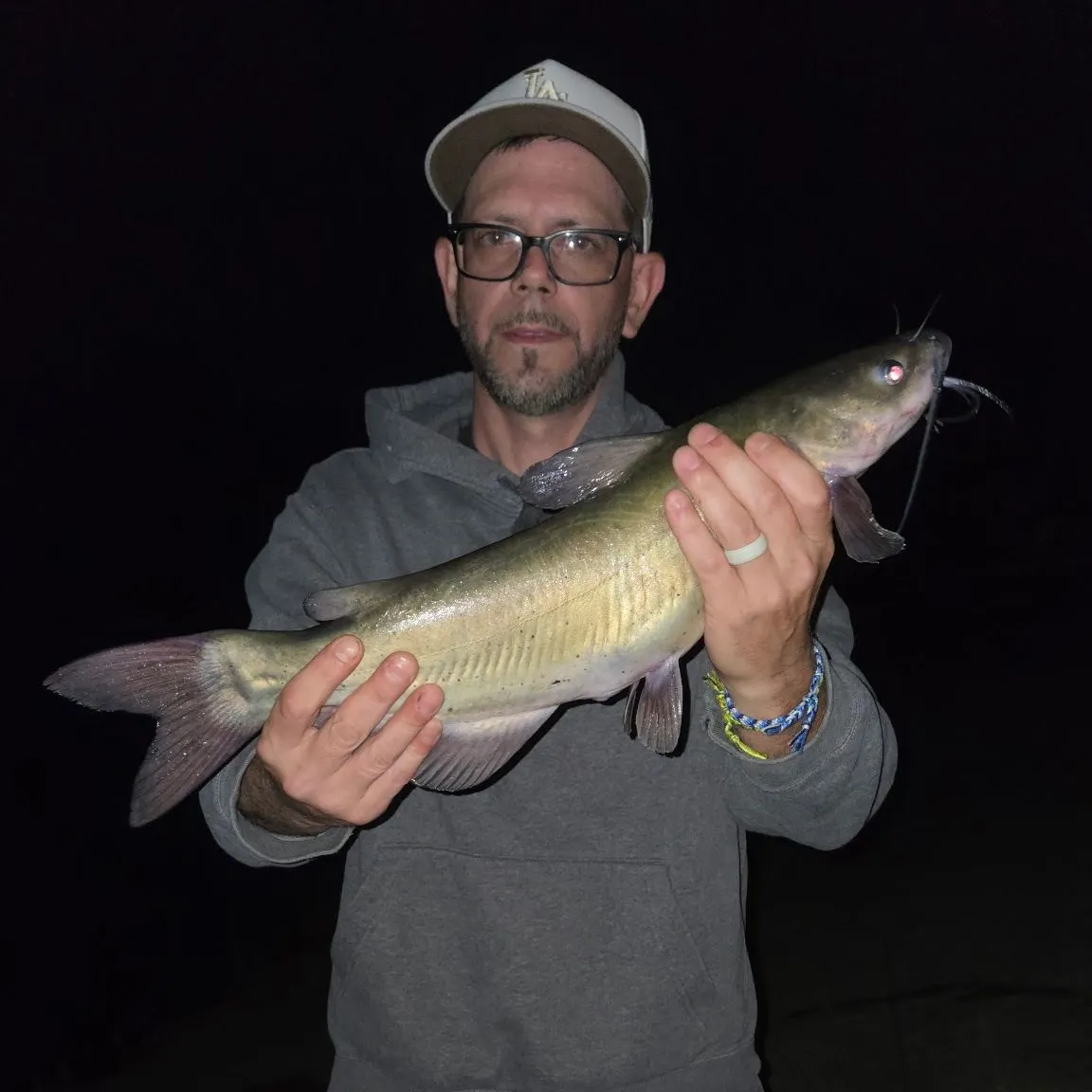 Channel catfish caught on Fishbrain
