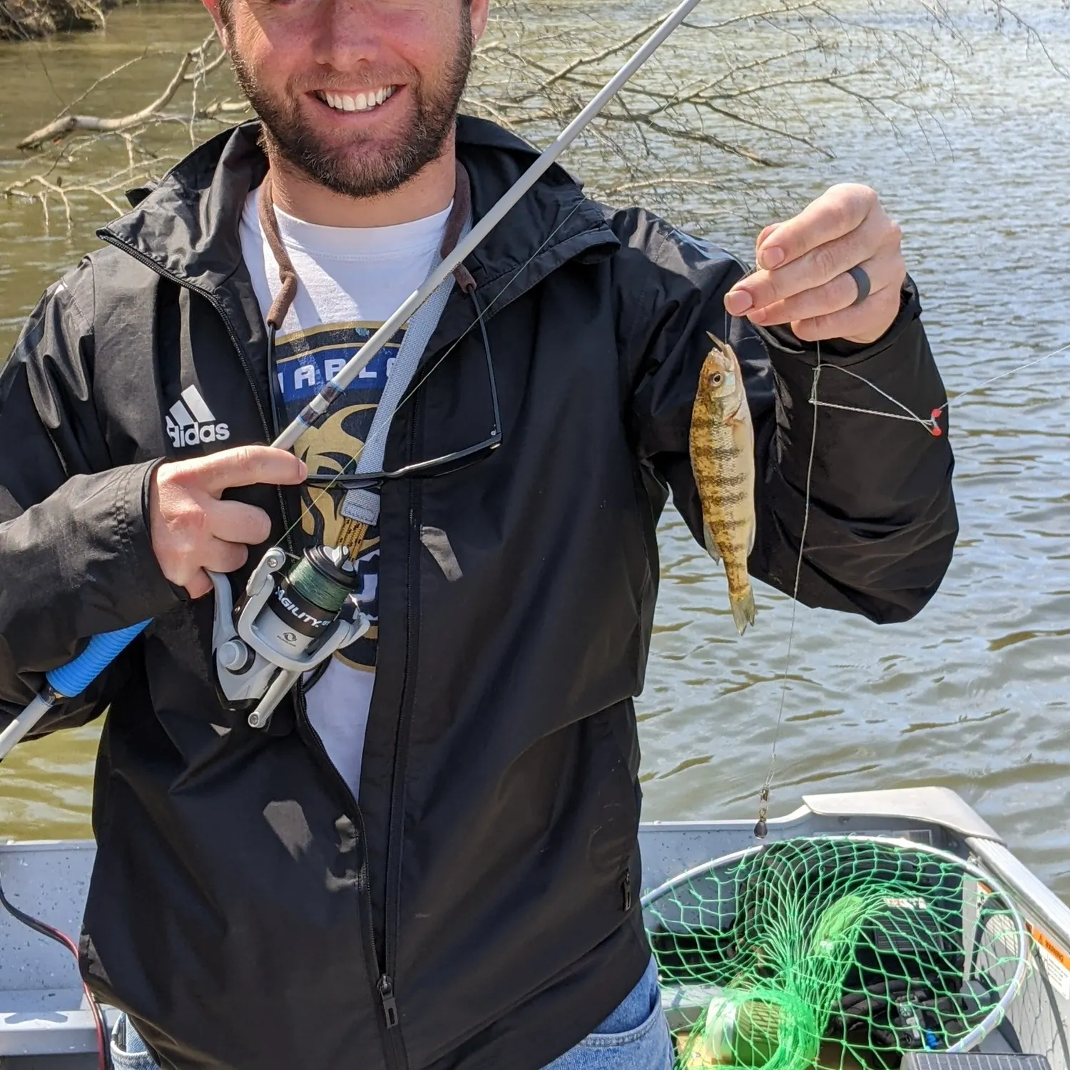 The most recent Yellow perch catches on Fishbrain