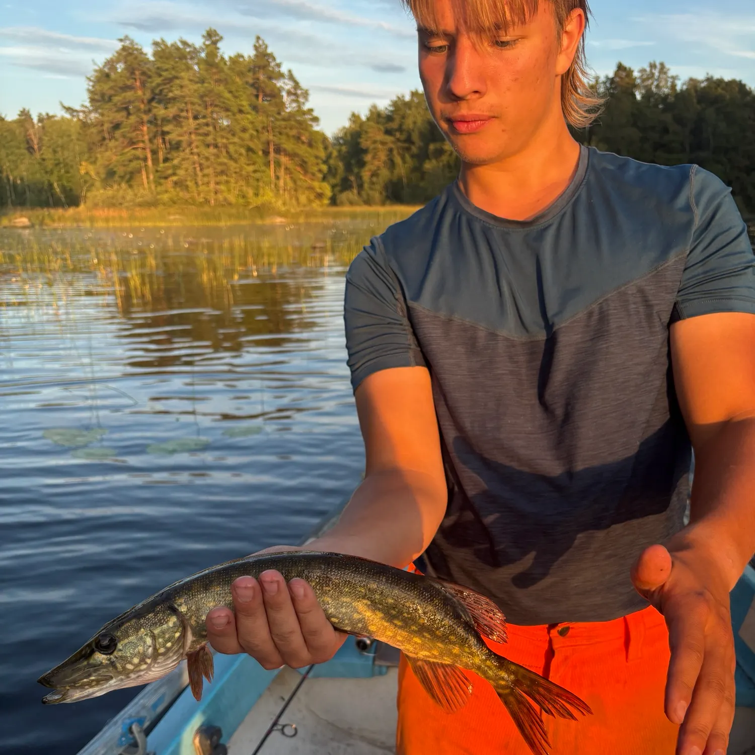 Northern pike caught on Fishbrain