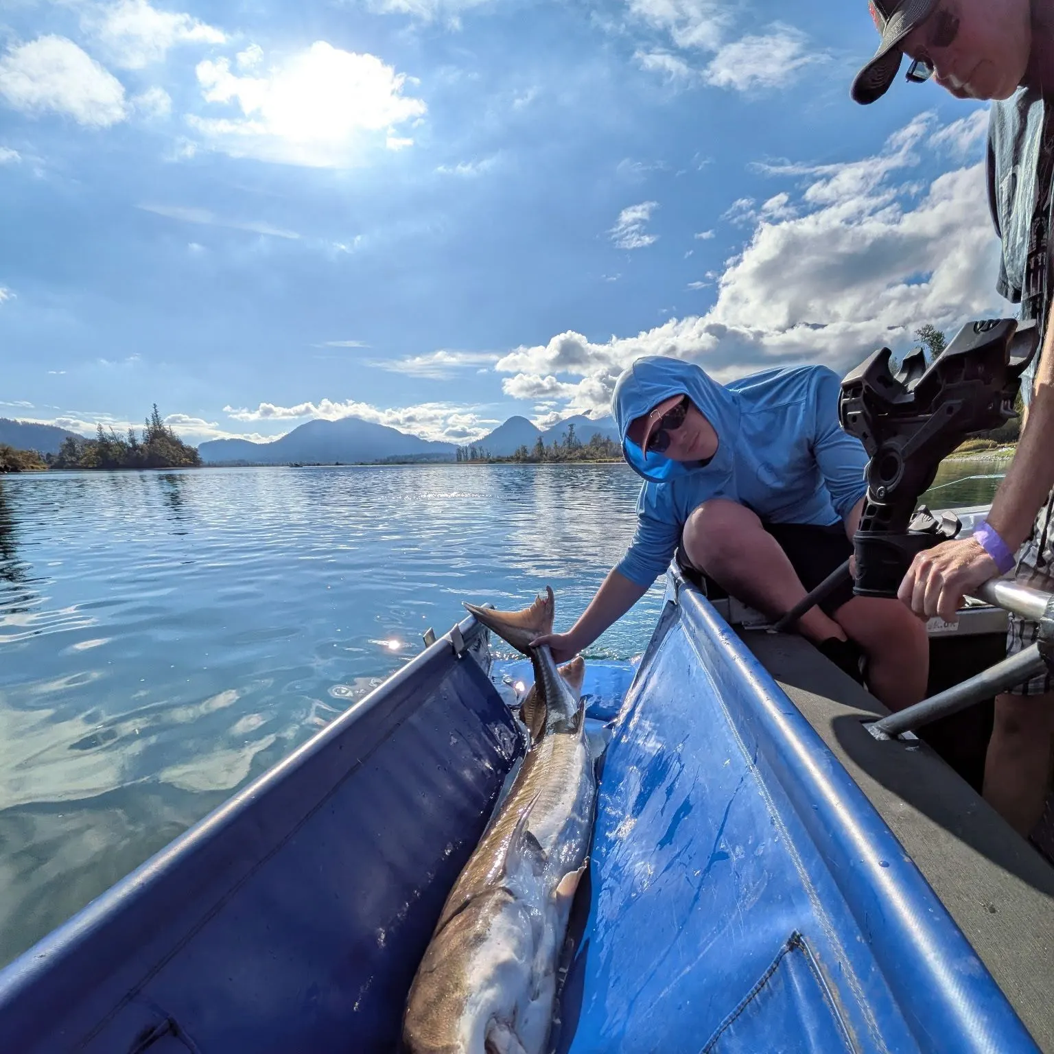 White sturgeon caught on Fishbrain