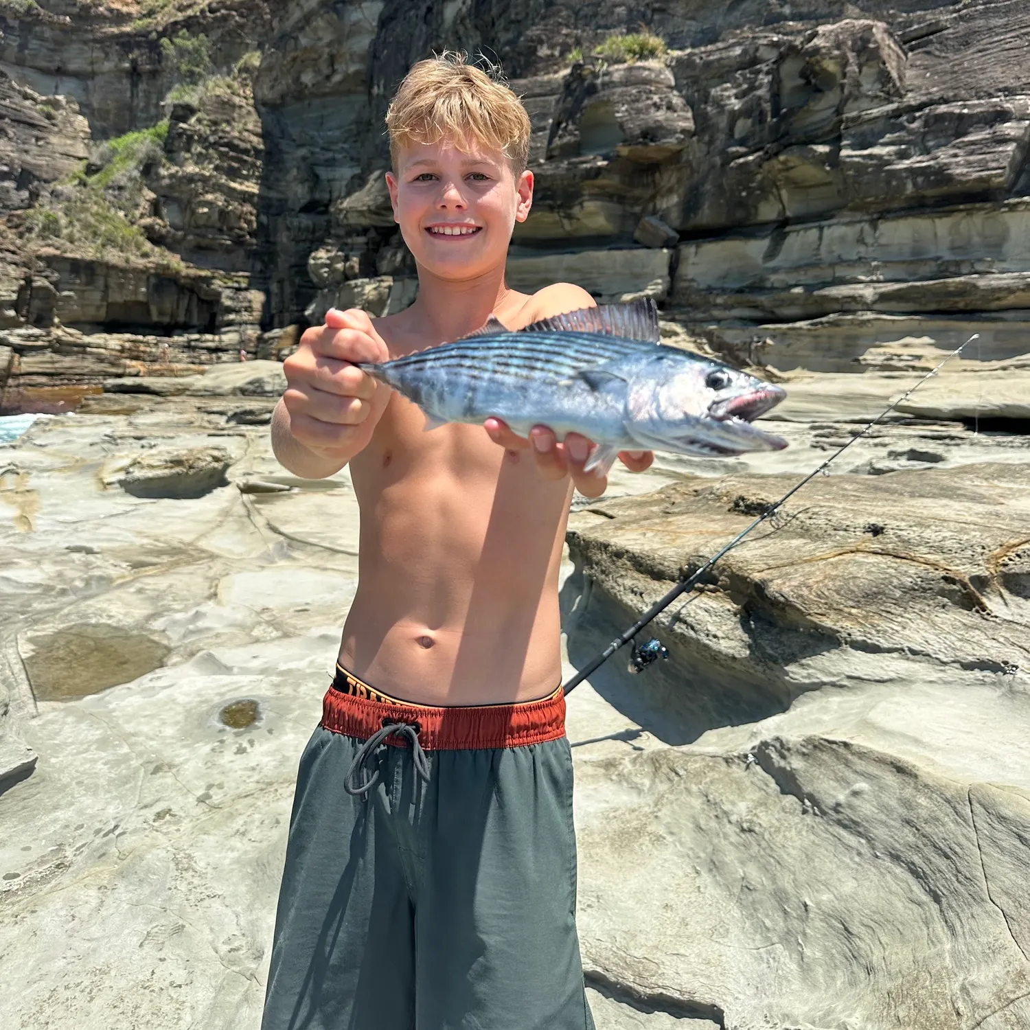 The most recent Australian bonito catches on Fishbrain