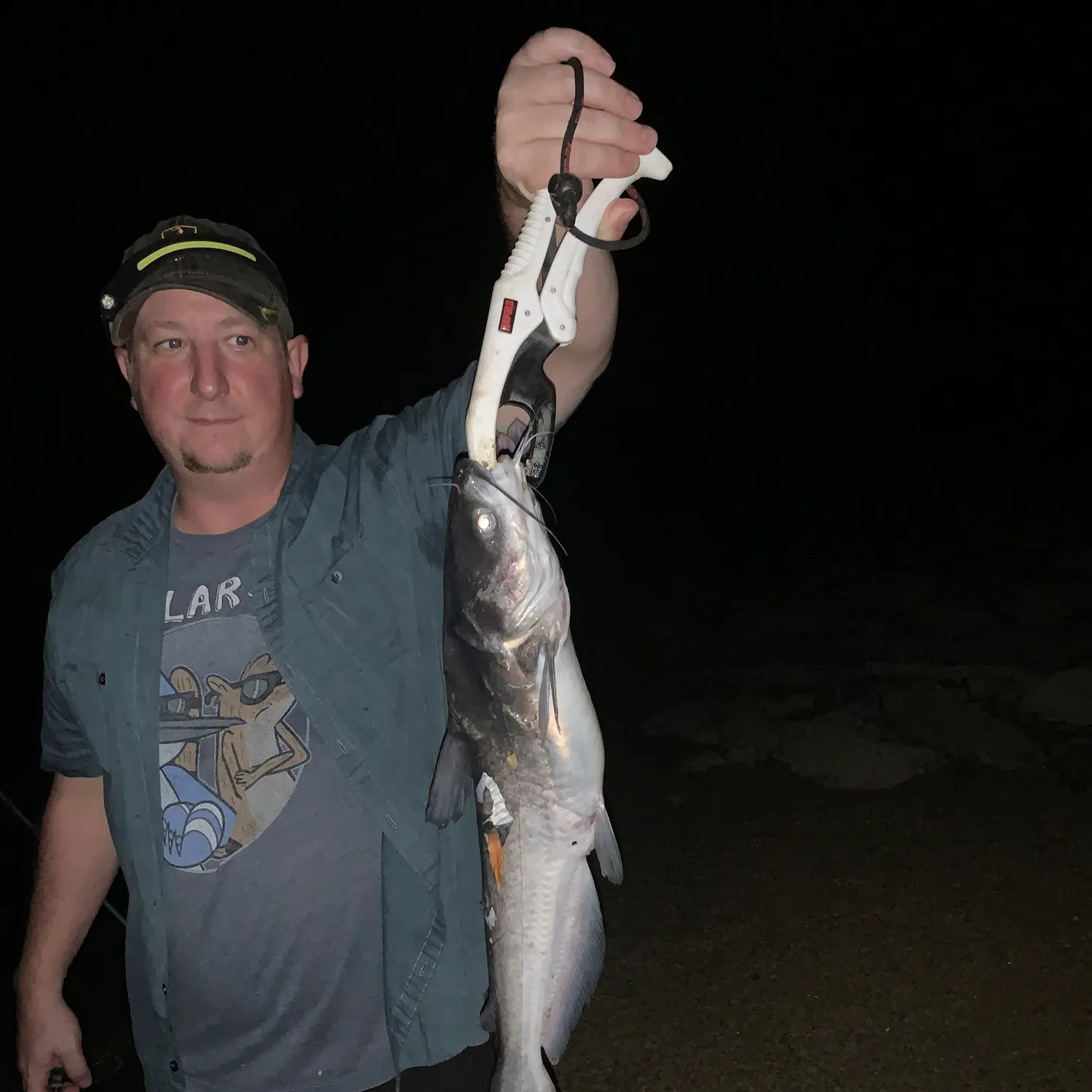 Blue catfish caught on Fishbrain