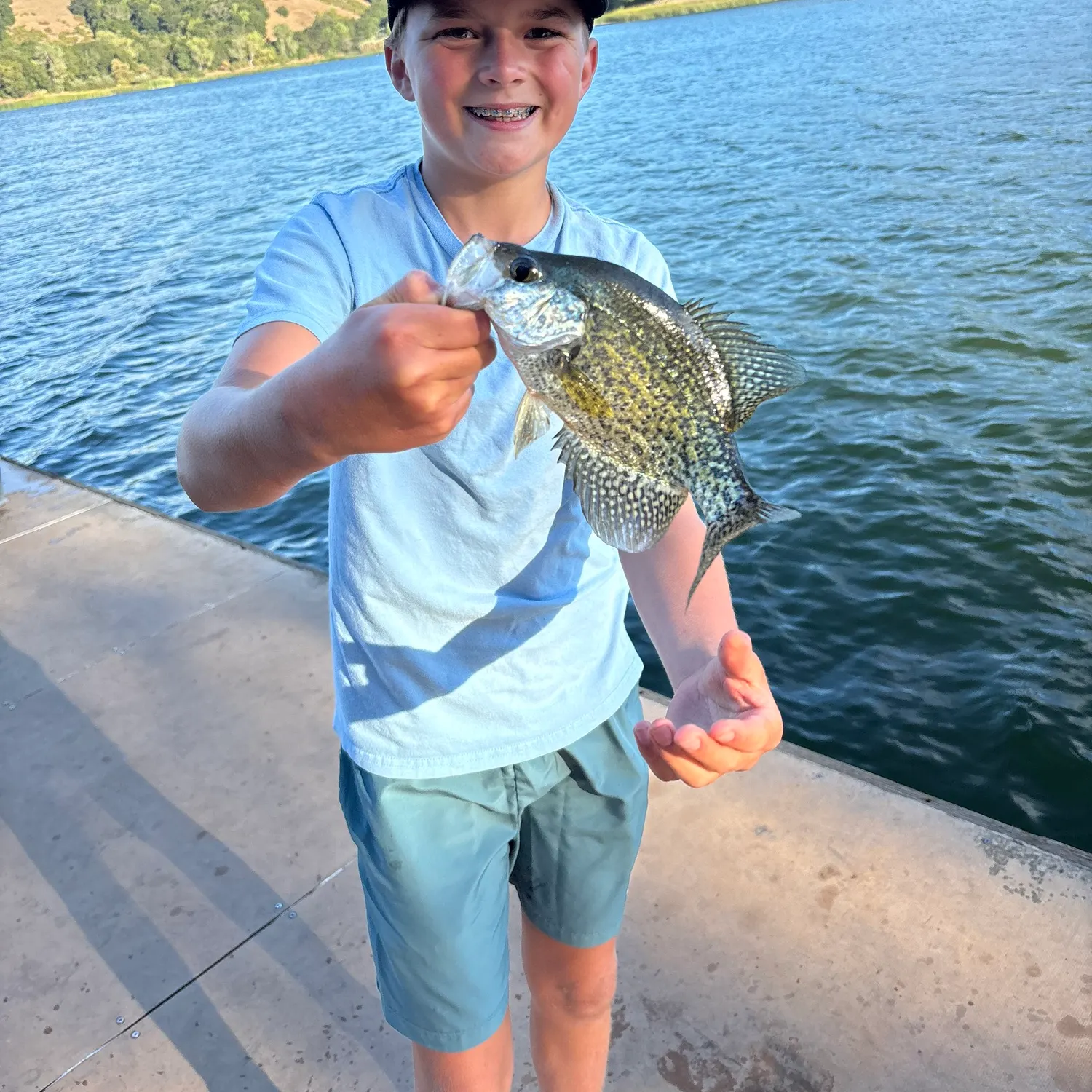 Black crappie caught on Fishbrain