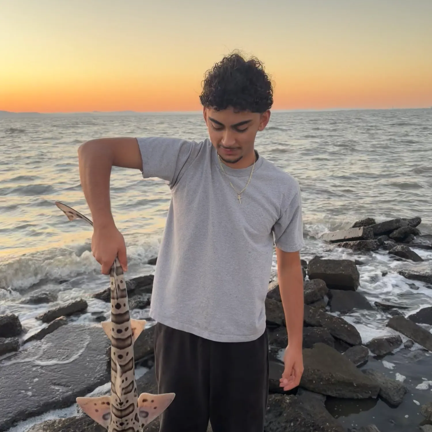 Leopard shark caught on Fishbrain