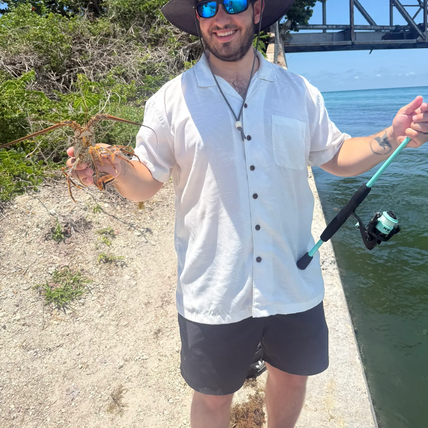 The most recent Caribbean spiny lobster catches on Fishbrain