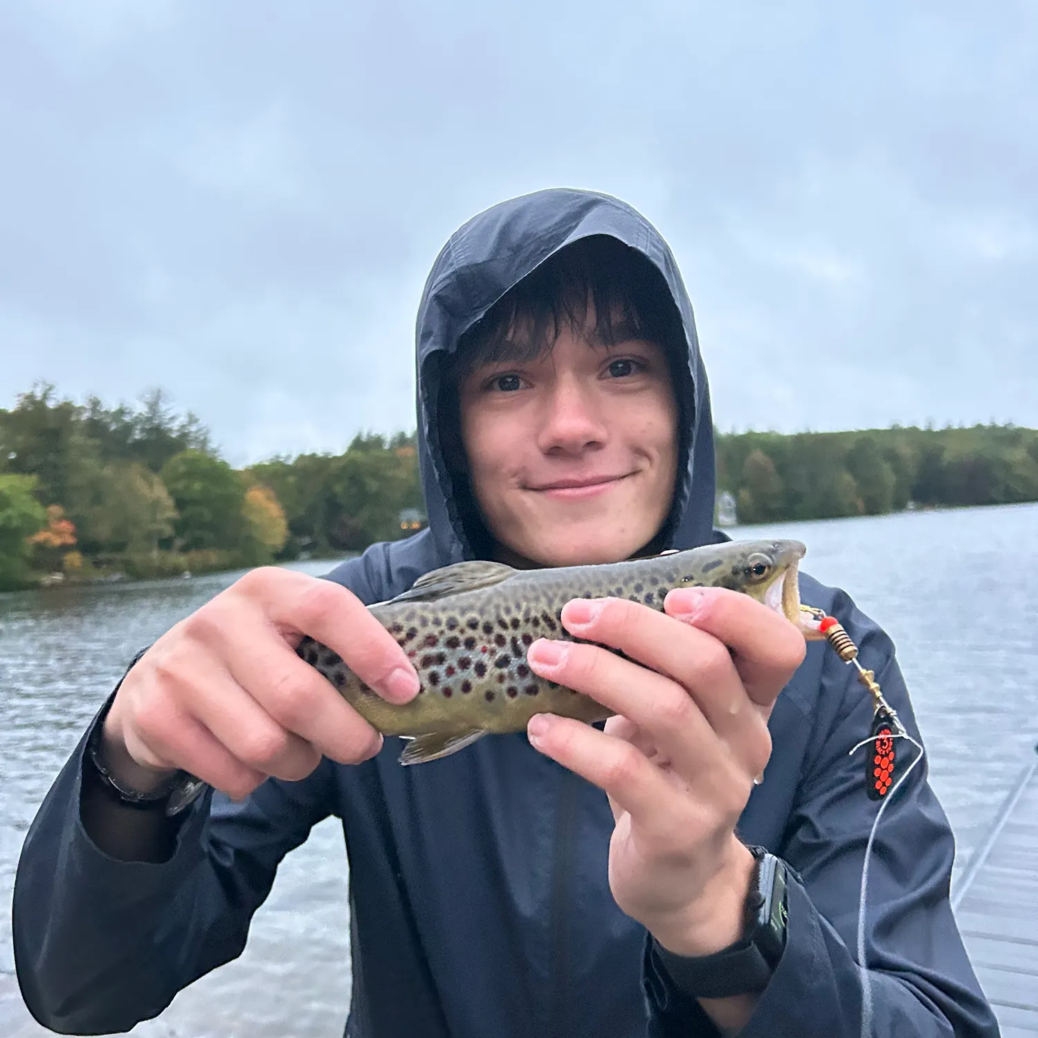 Brown trout caught on Fishbrain