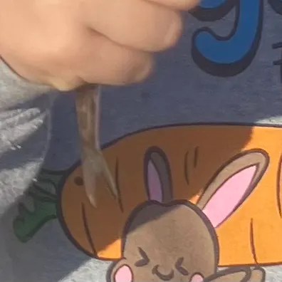 The most recent California lizardfish catches on Fishbrain