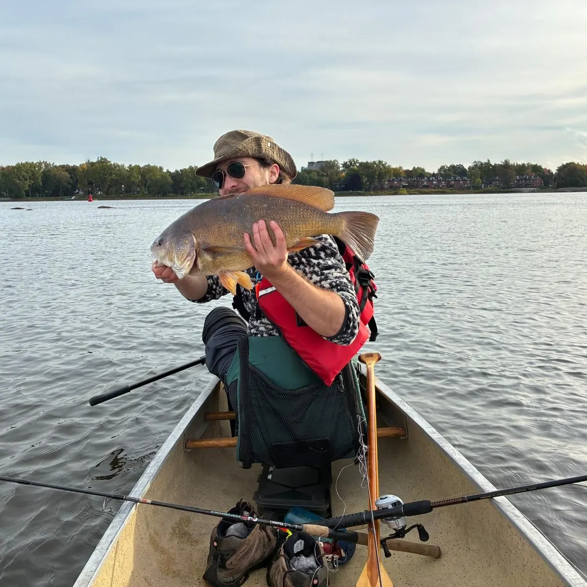Freshwater drum caught on Fishbrain
