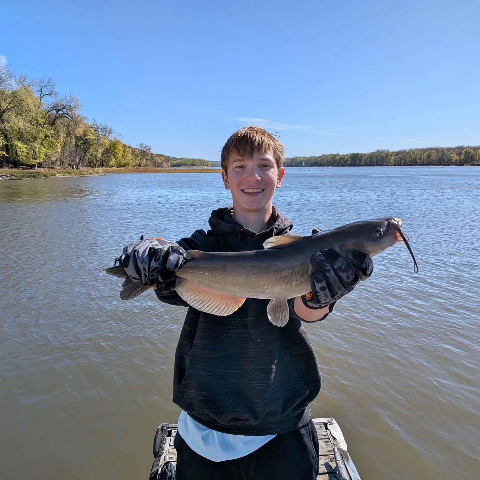 Channel catfish caught on Fishbrain