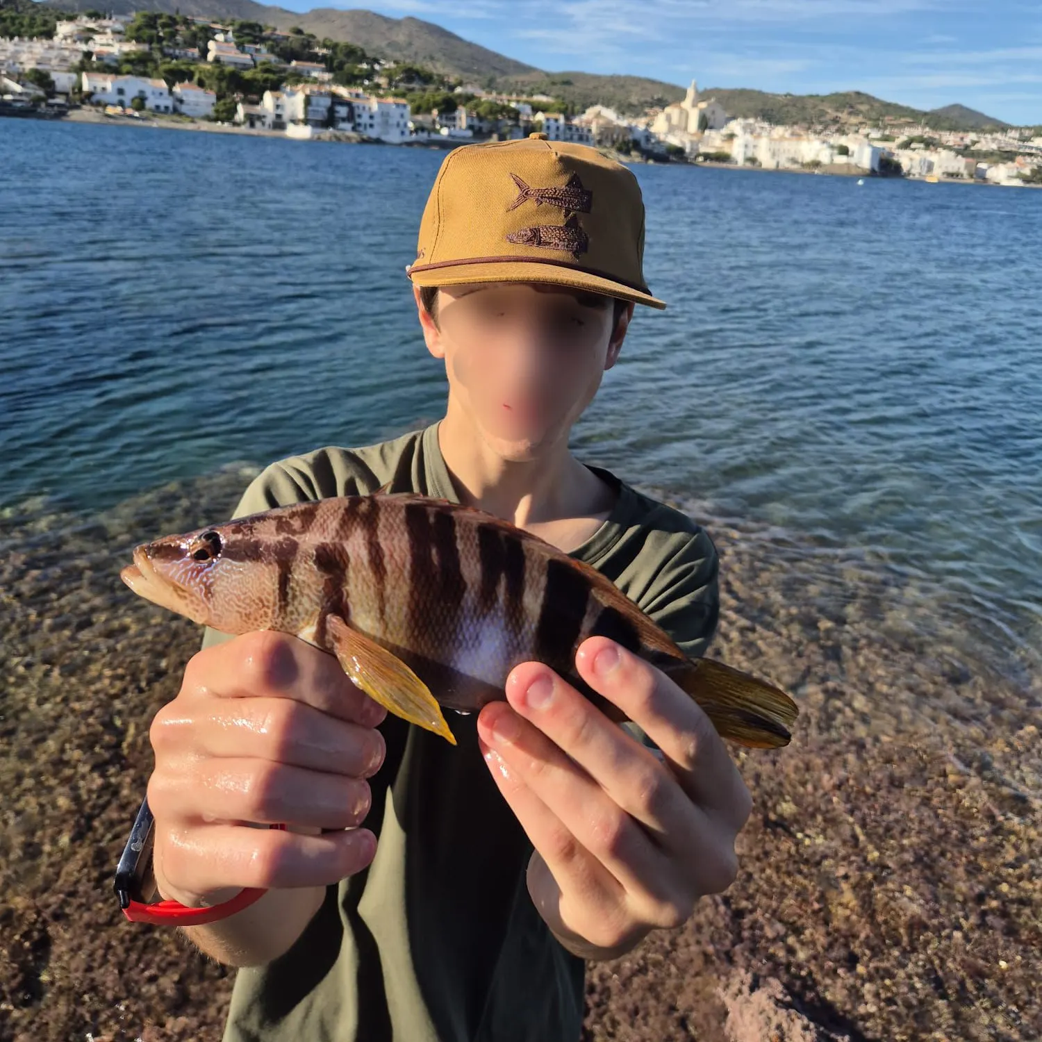 The most recent Painted comber catches on Fishbrain