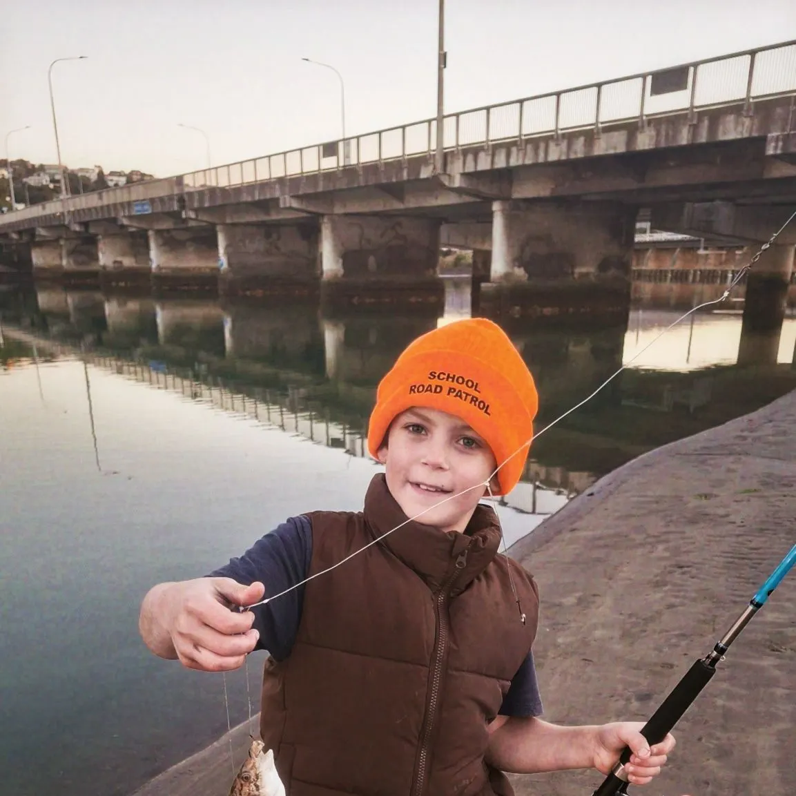 The most recent Spotty wrasse catches on Fishbrain