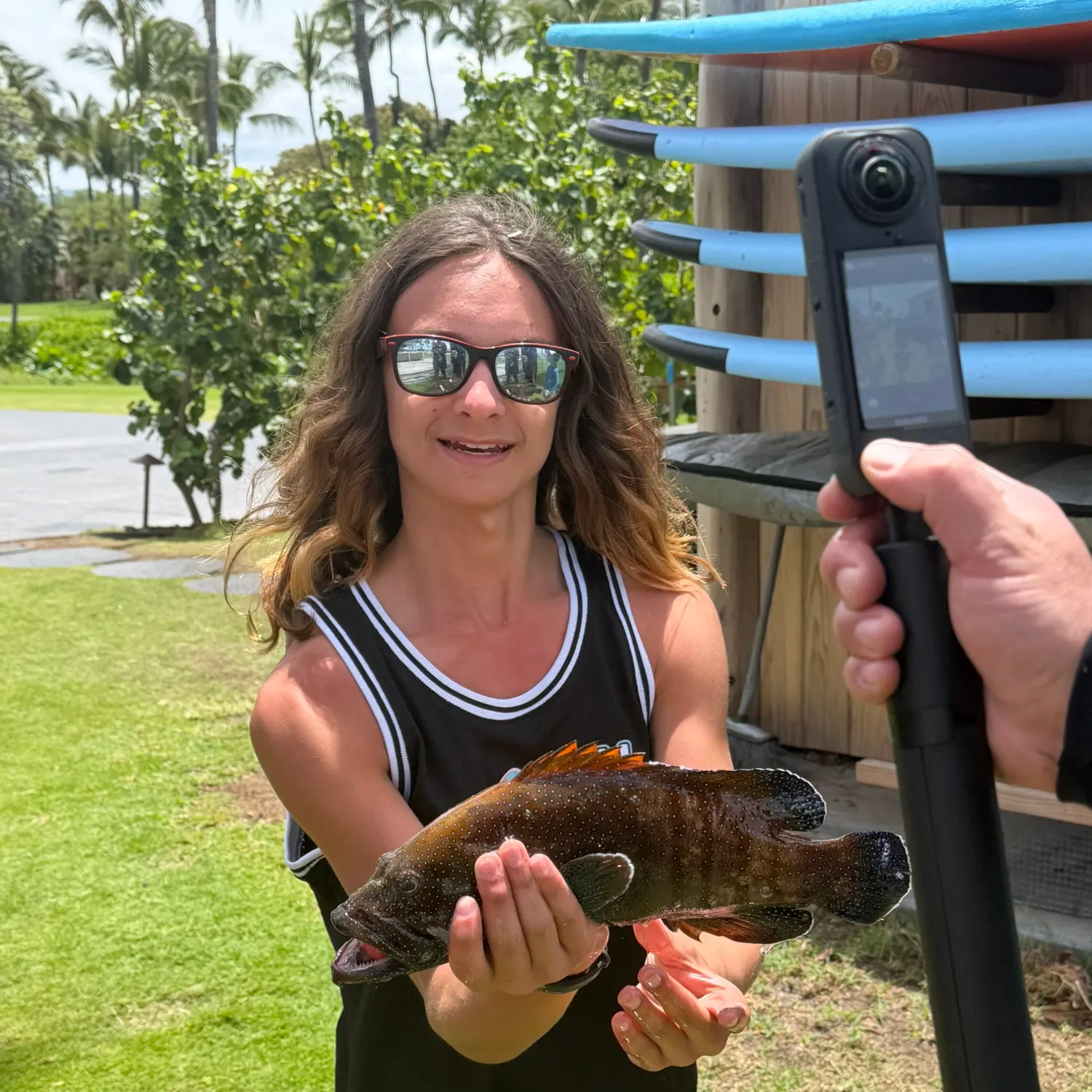 The most recent Black grouper catches on Fishbrain