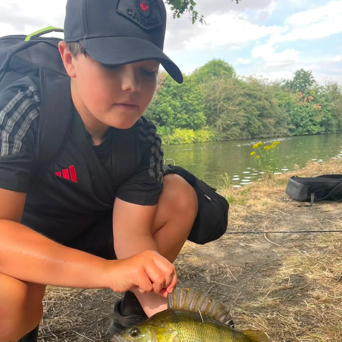 European perch caught on Fishbrain