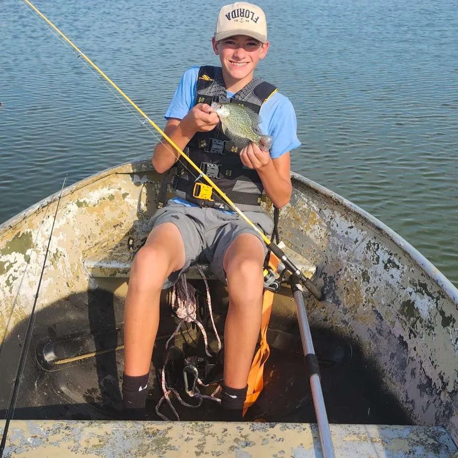 Black crappie caught on Fishbrain