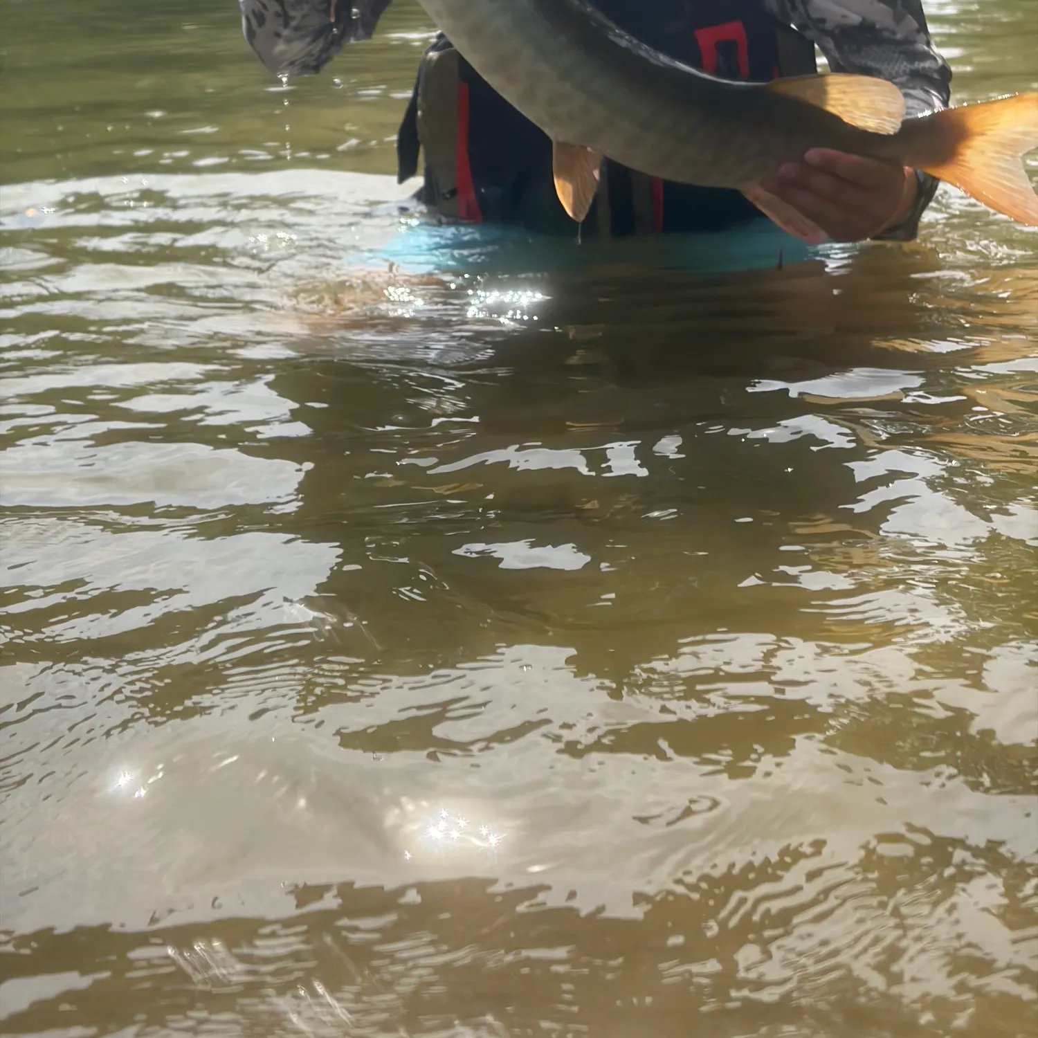 Muskie caught on Fishbrain