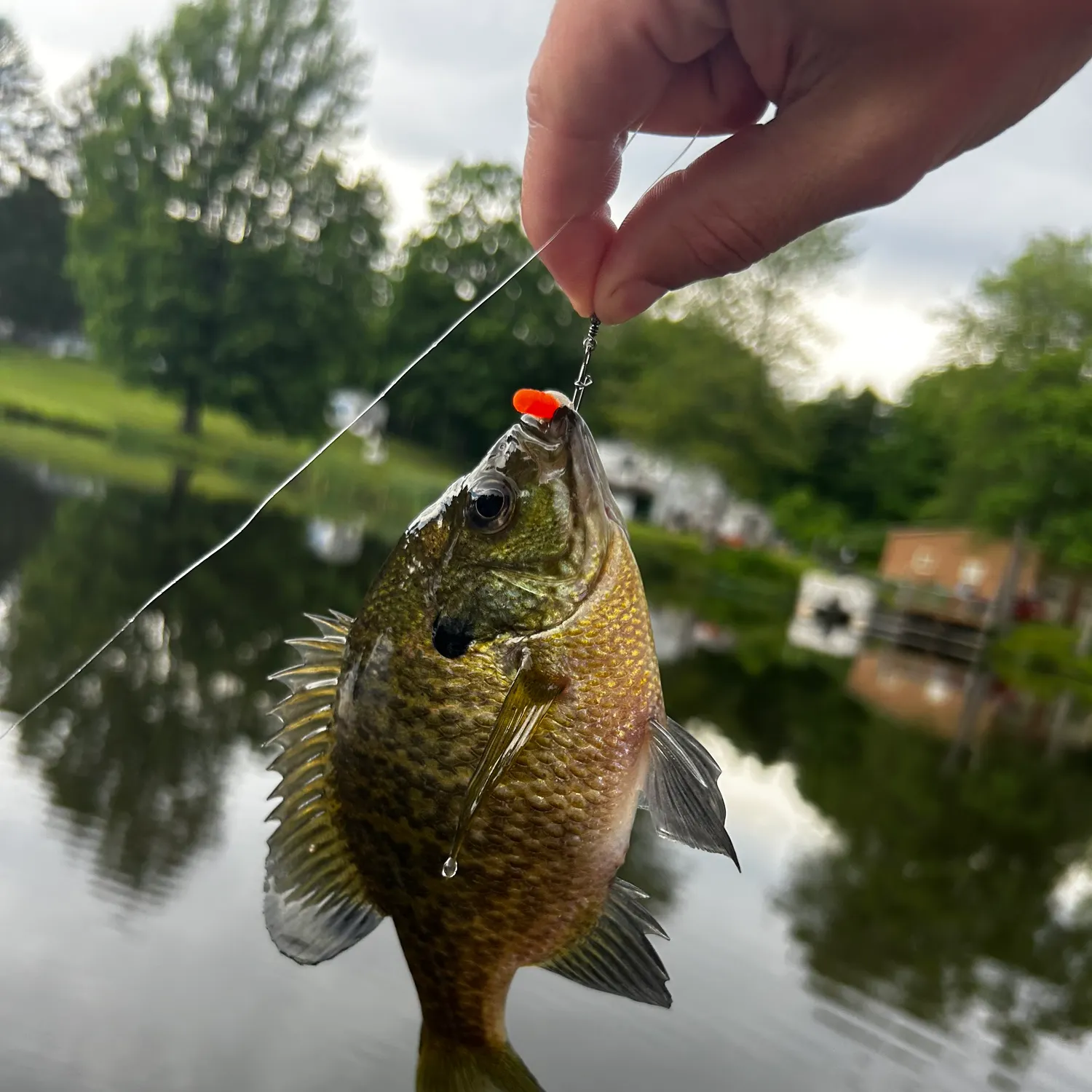 catch