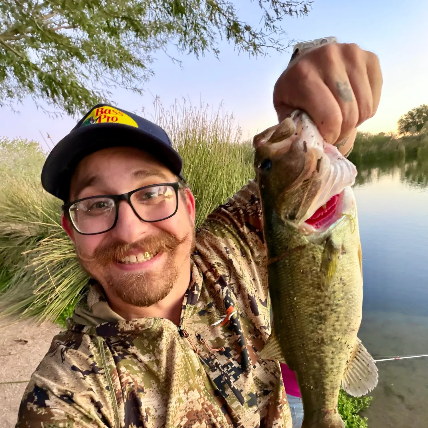 Largemouth bass caught on Fishbrain