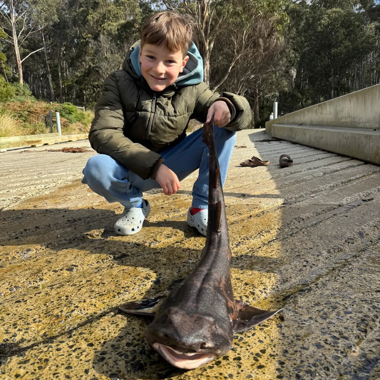 Draughtsboard shark caught on Fishbrain