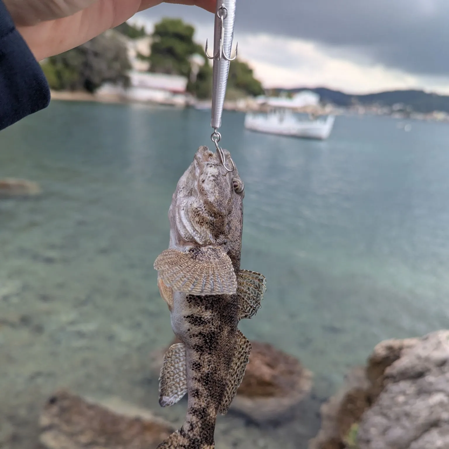 The most recent Giant goby catches on Fishbrain