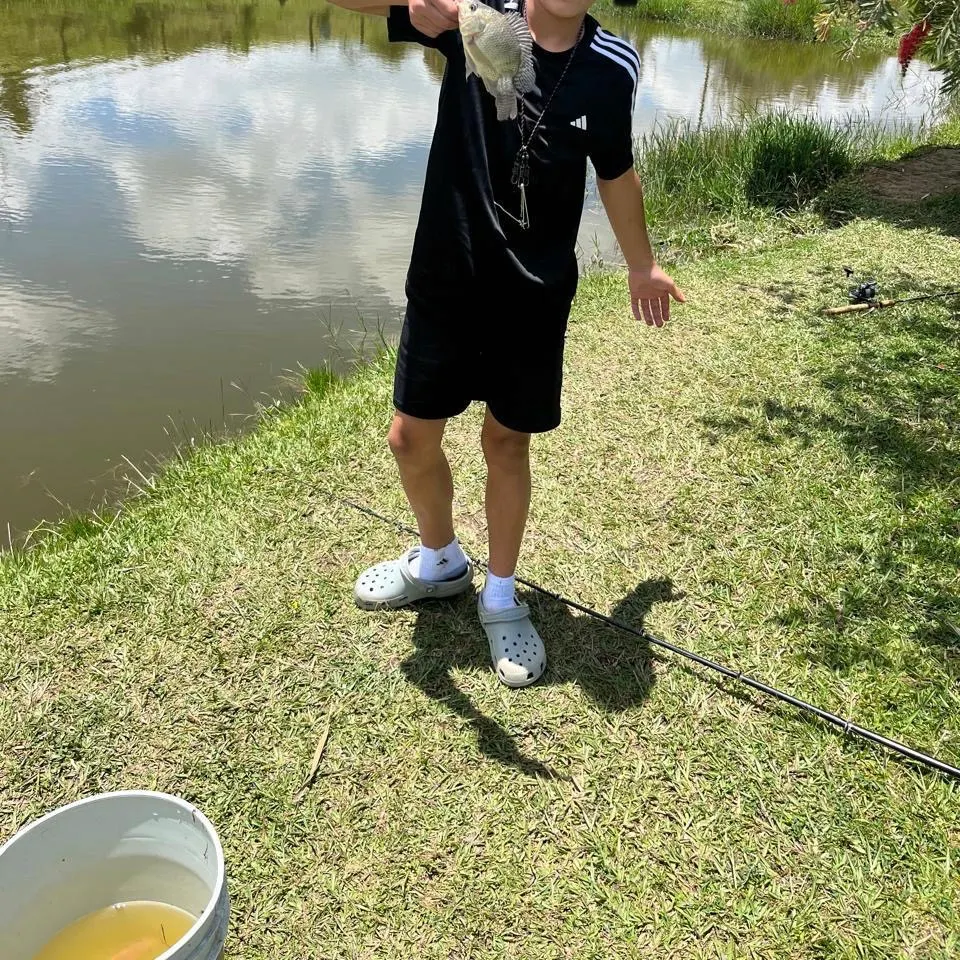 Nile tilapia caught on Fishbrain
