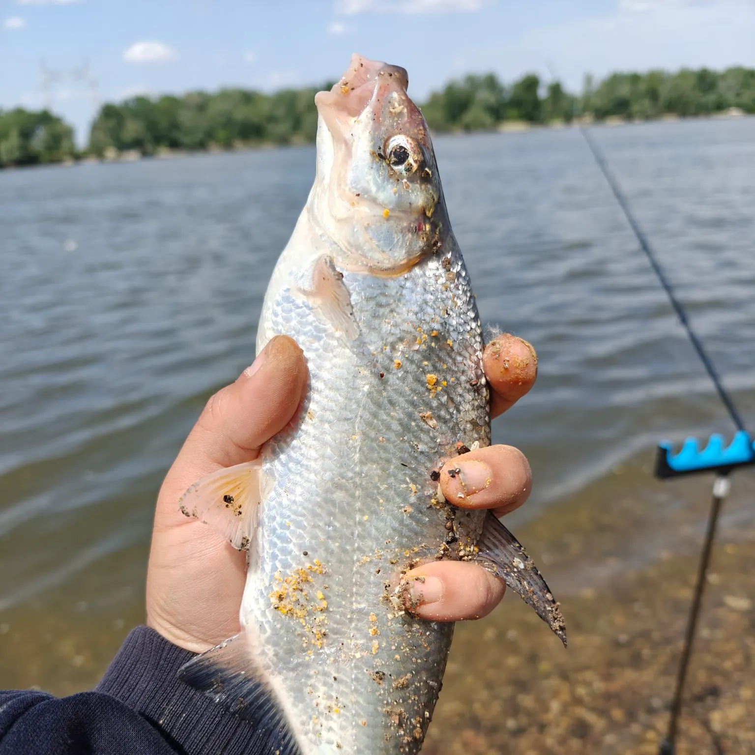 most liked catch image
