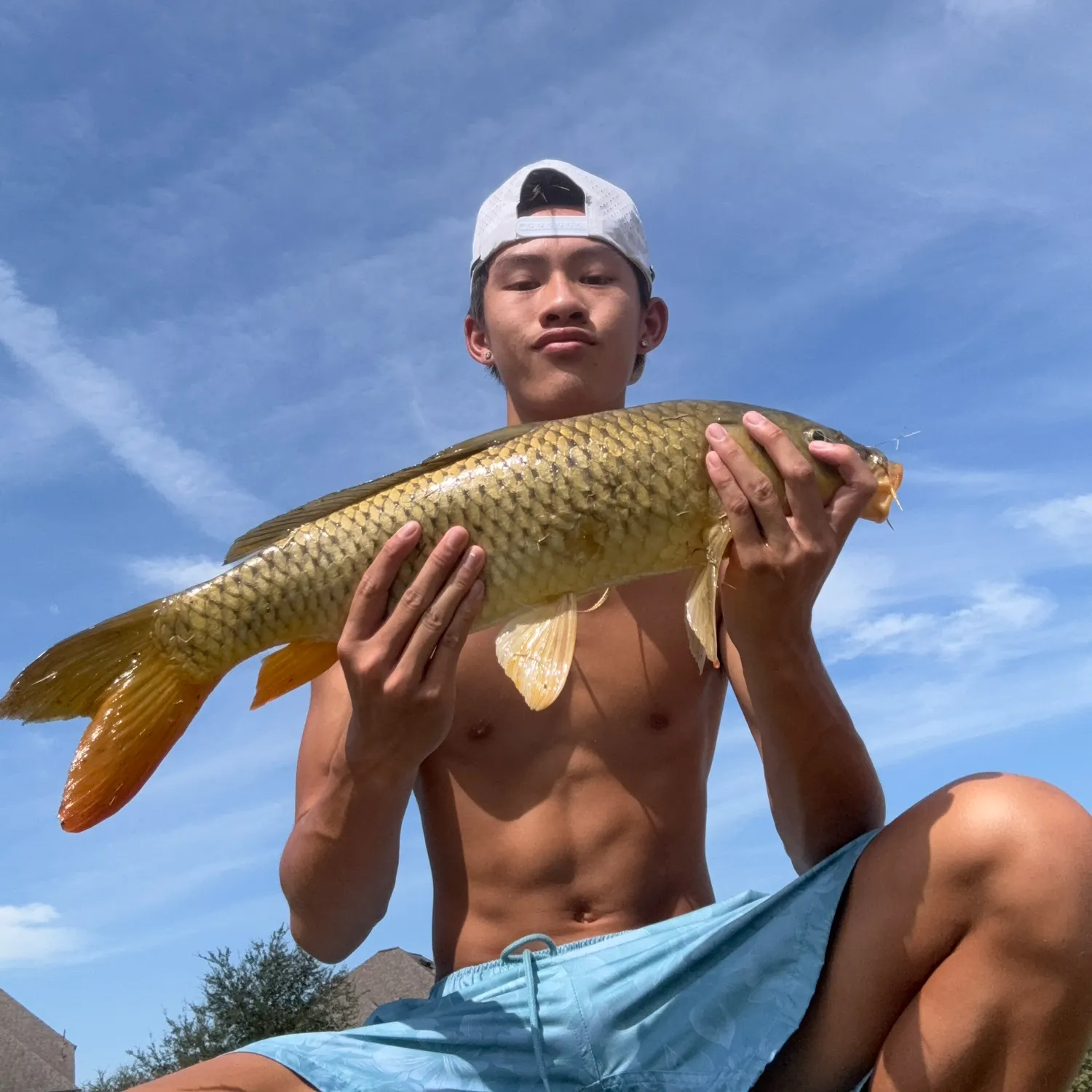 Common carp caught on Fishbrain