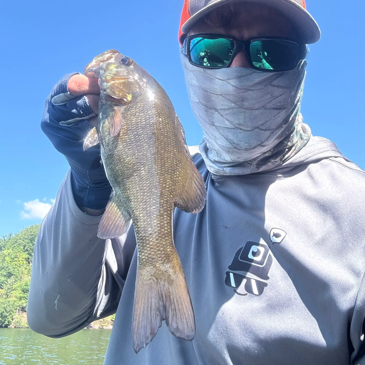 Smallmouth bass caught on Fishbrain